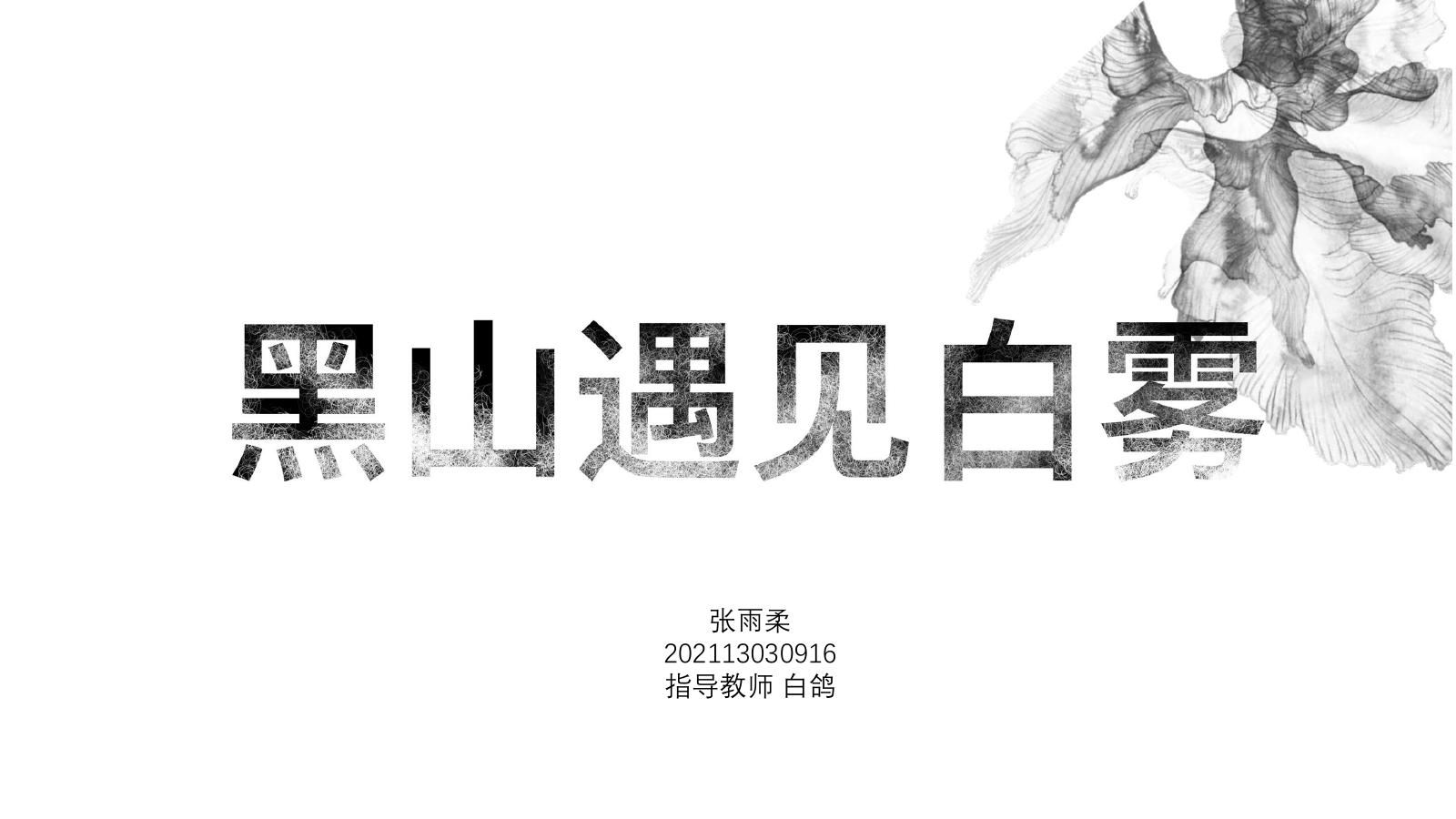 黑山遇见白雾创意面料服装设计项目封面